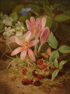 ブラックベリーと秋の花